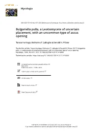 Bulgariella Pulla, a Leotiomycete of Uncertain Placement, with an Uncommon Type of Ascus Opening
