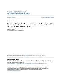 Effects of Butylparaben Exposure on Pancreatic Development in Zebrafish (Danio Erio)R Embryos