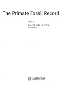 The Primate Fossil Record