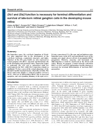Dlx1 and Dlx2 Function Is Necessary for Terminal Differentiation And
