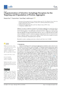 Oligomerization of Selective Autophagy Receptors for the Targeting and Degradation of Protein Aggregates