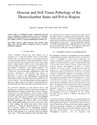 Osseous and Soft Tissue Pathology of the Thoracolumbar Spine and Pelvic Region