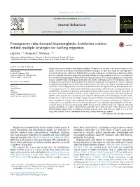 Premigratory Ruby-Throated Hummingbirds, Archilochus Colubris, Exhibit Multiple Strategies for Fuelling Migration