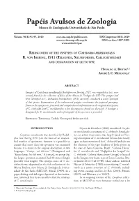 Rediscovery of the Syntypes of Corydoras Meridionalis R