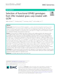 Selection of Functional EPHB2 Genotypes from ENU Mutated Grass