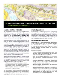 The San Gabriel River Confluence with Cattle Canyon Improvements Project