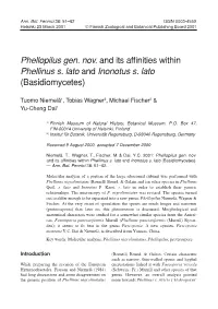 Phellopilus Gen. Nov. and Its Affinities Within Phellinus S. Lato and Inonotus