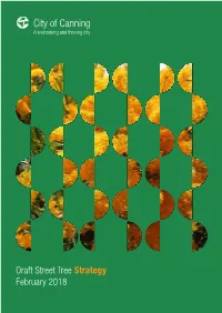 Draft Street Tree Strategy February 2018 Contents Section 1 1 Executive Summary 6 2 Introduction 8 3 Background 9 3.1 Policy - Strategic Framework 9 3.2