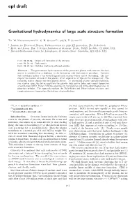 Gravitational Hydrodynamics of Large Scale Structure Formation