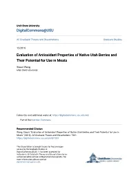 Evaluation of Antioxidant Properties of Native Utah Berries and Their Potential for Use in Meats