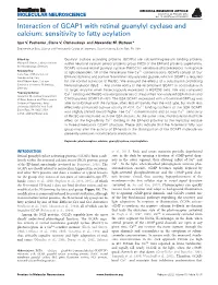 Interaction of GCAP1 with Retinal Guanylyl Cyclase and Calcium: Sensitivity to Fatty Acylation