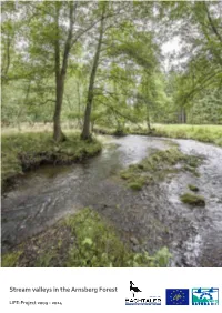 Stream Valleys in the Arnsberg Forest
