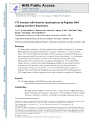 YY1 Interacts with Guanine Quadruplexes to Regulate DNA Looping and Gene Expression