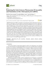Exploring the Link Between Photosystem II Assembly and Translation of the Chloroplast Psba Mrna
