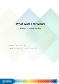 View What Works for Maori PDF 1.3 MB