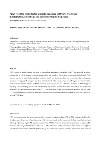 P2X7 Receptor Orchestrates Multiple Signalling Pathways Triggering Inflammation, Autophagy and Metabolic/Trophic Responses