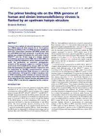 The Primer Binding Site on the RNA Genome of Human and Simian Immunodeficiency Viruses Is Flanked by an Upstream Hairpin Structure Benjamin Berkhout