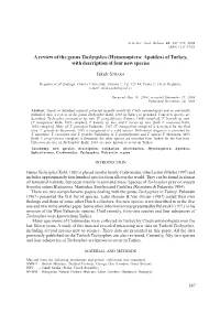 A Review of the Genus Tachysphex (Hymenoptera: Apoidea) of Turkey, with Description of Four New Species