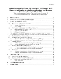 Gasification-Based Fuels and Electricity Production from Biomass, Without and with Carbon Capture and Storage Eric D