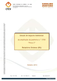 Relatório Síntese (RS)