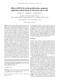 Effect of HOXA6 on the Proliferation, Apoptosis, Migration and Invasion of Colorectal Cancer Cells