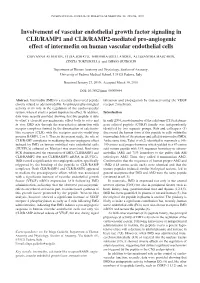 Involvement of Vascular Endothelial Growth Factor Signaling in CLR/RAMP1 and CLR/RAMP2-Mediated Pro-Angiogenic Effect of Interme