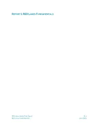 RED Lanes Fundamentals Report