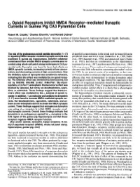 Currents in Guinea Pig CA3 Pyramidal Cells