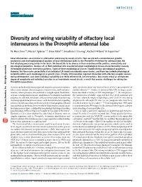 Diversity and Wiring Variability of Olfactory Local Interneurons in The