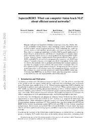 What Can Computer Vision Teach NLP About Efficient Neural Networks?