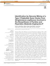 Identification by Genome Mining of a Type I Polyketide Gene Cluster From