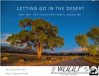 Letting Go in the Desert