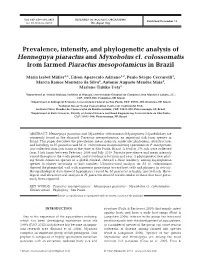 Prevalence, Intensity, and Phylogenetic Analysis of Henneguya Piaractus and Myxobolus Cf. Colossomatis from Farmed Piaractus Mesopotamicus in Brazil