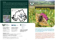0736 Marsh Fritillary