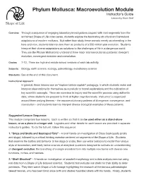 Phylum Mollusca: Macroevolution Module Instructor’S Guide Lesson by Kevin Goff