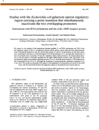 Studies with the Escherichia Coli Galactose Operon Regulatory Region Carrying a Point Mutation That Simultaneously Inactivates T