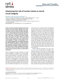 Unweaving the Role of Nuclear Lamins in Neural Circuit Integrity