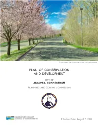 2018 Plan of Conservation and Development Final