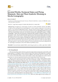 Bats and Their Symbolic Meaning in Moche Iconography
