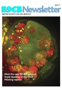 BSCB Newsletter 2017D