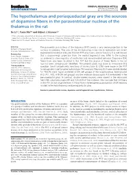 The Hypothalamus and Periaqueductal Gray Are the Sources of Dopamine Fibers in the Paraventricular Nucleus of the Thalamus in Th