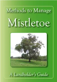 Methods to Manage Mistletoe