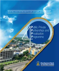 Public-Private Partnerships and Privatisation Programme