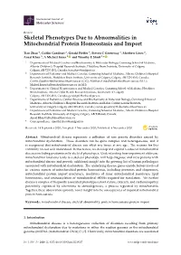 Skeletal Phenotypes Due to Abnormalities in Mitochondrial Protein Homeostasis and Import