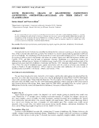 Orthoptera:Gryllidae) and Their Impact on Classification