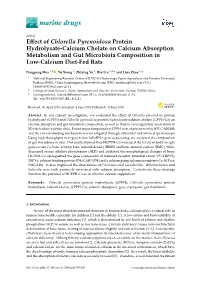 Effect of Chlorella Pyrenoidosa Protein Hydrolysate-Calcium