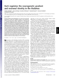 Her6 Regulates the Neurogenetic Gradient and Neuronal Identity in the Thalamus