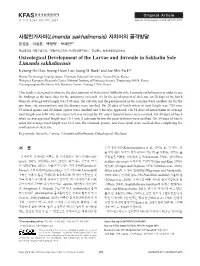사할린가자미(Limanda Sakhalinensis) 자치어의 골격발달 한경호·이성훈·백정익1·박재민2*