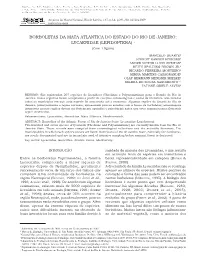 LYCAENIDAE (LEPIDOPTERA) ¹ (Com 1 Figura)