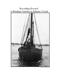 Revealing Reward: a Brixham Trawler in Saltern's Creek